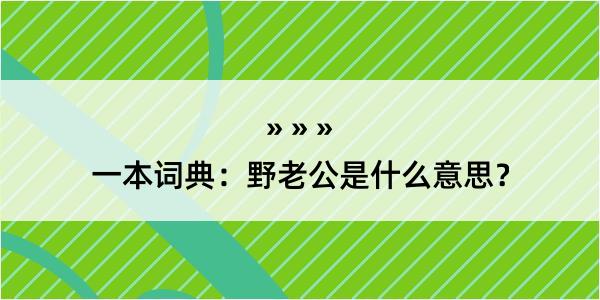 一本词典：野老公是什么意思？