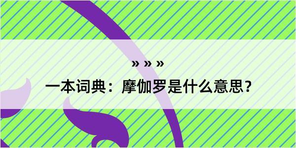 一本词典：摩伽罗是什么意思？