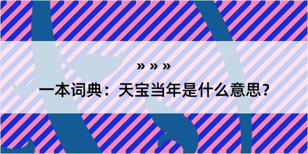 一本词典：天宝当年是什么意思？