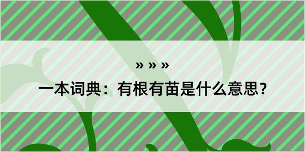 一本词典：有根有苗是什么意思？