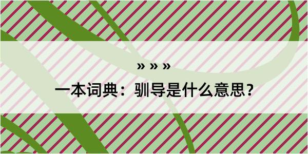 一本词典：驯导是什么意思？