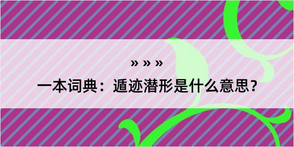 一本词典：遁迹潜形是什么意思？