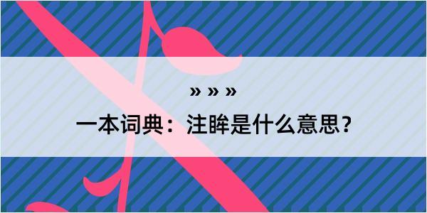 一本词典：注眸是什么意思？