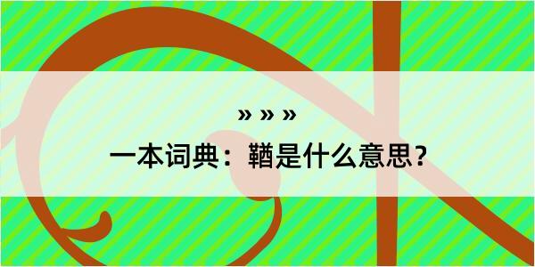 一本词典：鞧是什么意思？