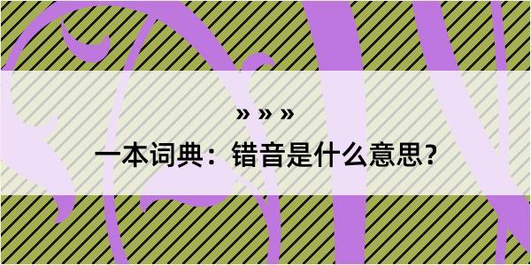 一本词典：错音是什么意思？