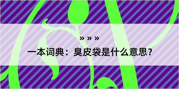 一本词典：臭皮袋是什么意思？