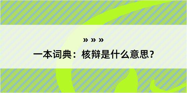 一本词典：核辩是什么意思？