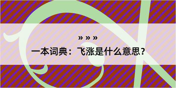 一本词典：飞涨是什么意思？