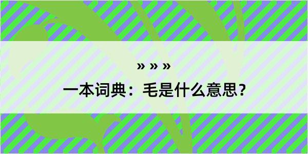 一本词典：毛是什么意思？