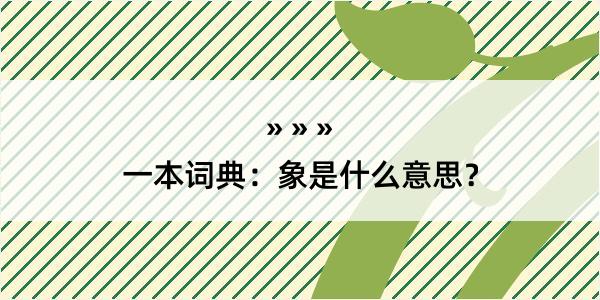 一本词典：象是什么意思？