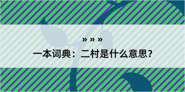 一本词典：二村是什么意思？