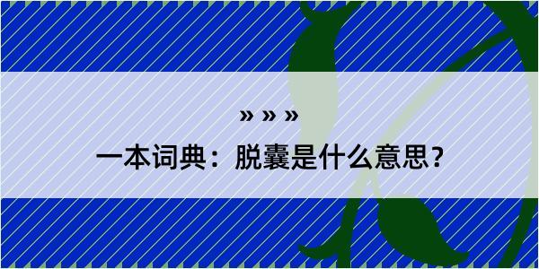 一本词典：脱囊是什么意思？