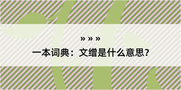 一本词典：文缯是什么意思？