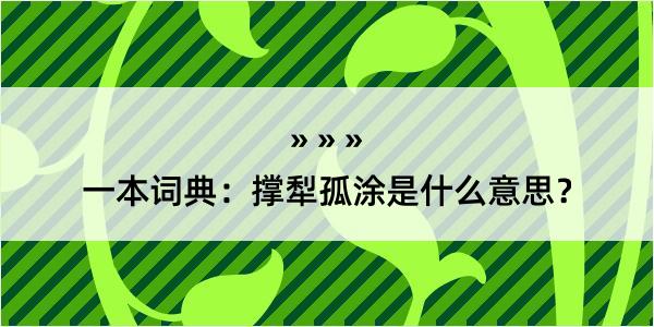 一本词典：撑犁孤涂是什么意思？