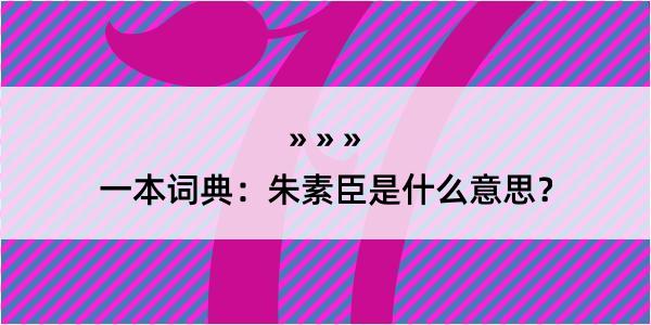 一本词典：朱素臣是什么意思？