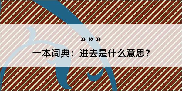 一本词典：进去是什么意思？