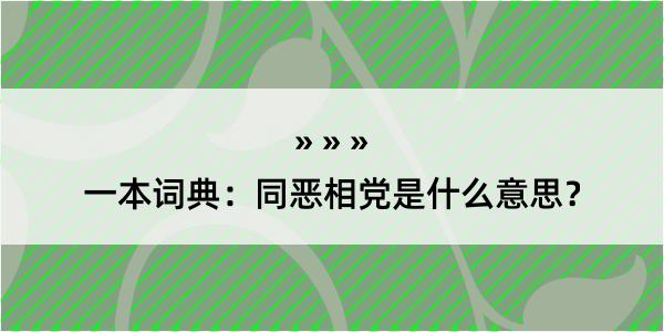 一本词典：同恶相党是什么意思？