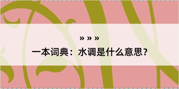 一本词典：水调是什么意思？