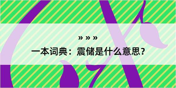 一本词典：震储是什么意思？