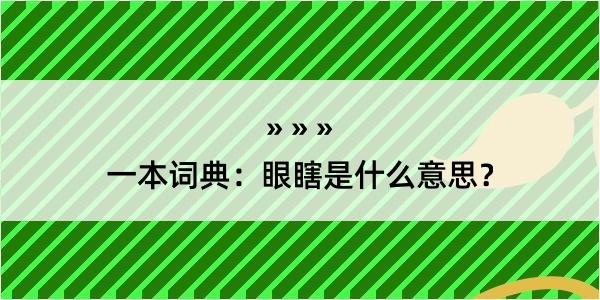 一本词典：眼瞎是什么意思？