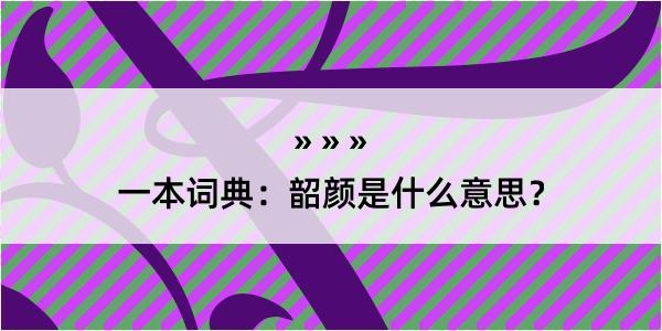 一本词典：韶颜是什么意思？