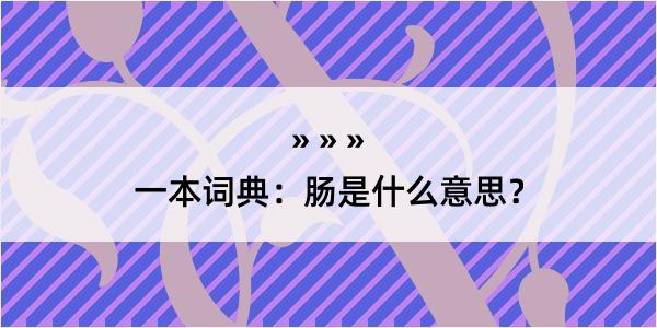 一本词典：肠是什么意思？