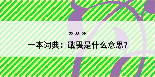 一本词典：戢畏是什么意思？