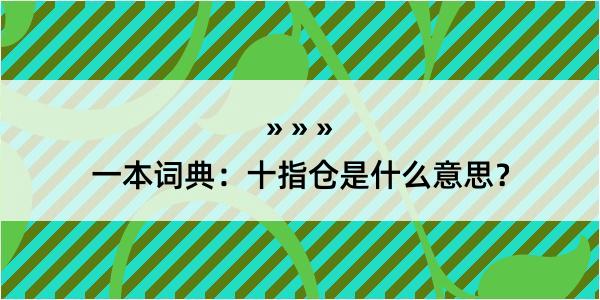 一本词典：十指仓是什么意思？