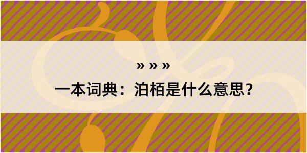 一本词典：泊栢是什么意思？