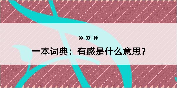 一本词典：有感是什么意思？