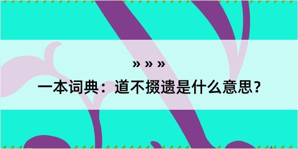 一本词典：道不掇遗是什么意思？