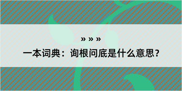 一本词典：询根问底是什么意思？