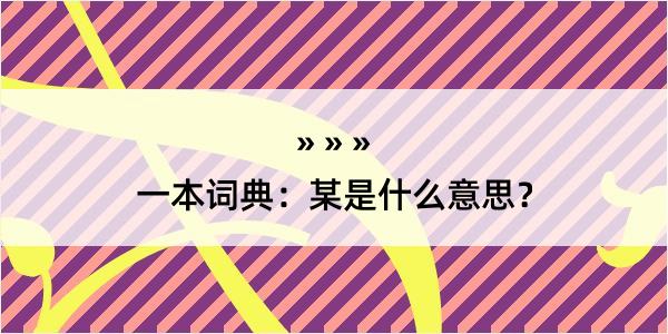 一本词典：某是什么意思？