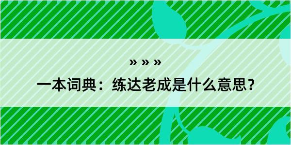 一本词典：练达老成是什么意思？