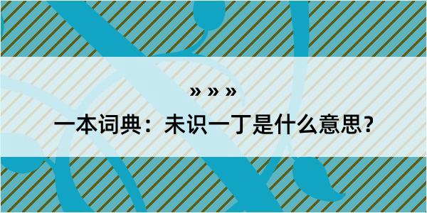 一本词典：未识一丁是什么意思？