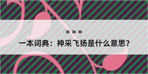 一本词典：神采飞扬是什么意思？