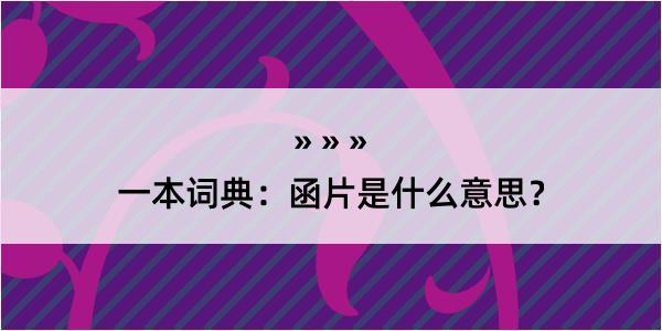 一本词典：函片是什么意思？