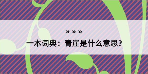 一本词典：青崖是什么意思？