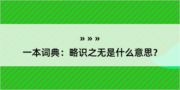 一本词典：略识之无是什么意思？