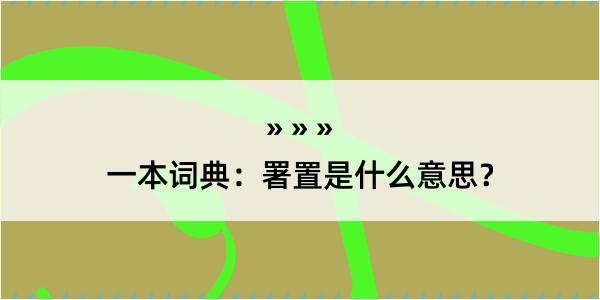 一本词典：署置是什么意思？