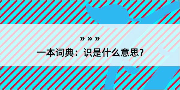 一本词典：识是什么意思？