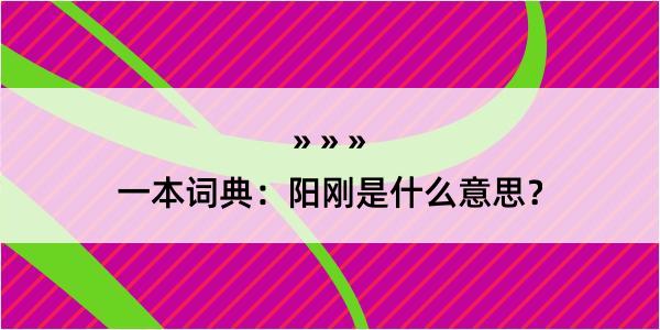 一本词典：阳刚是什么意思？