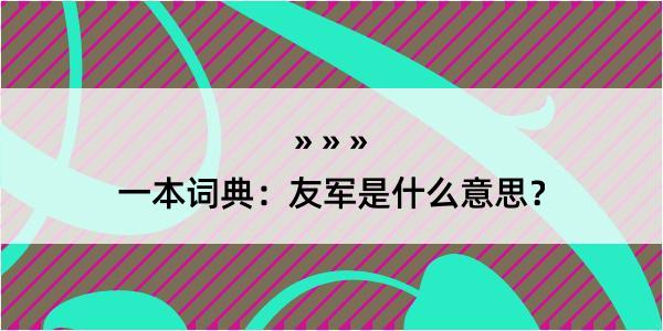 一本词典：友军是什么意思？