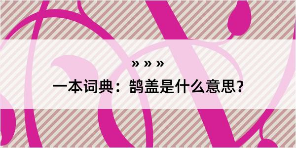 一本词典：鹄盖是什么意思？