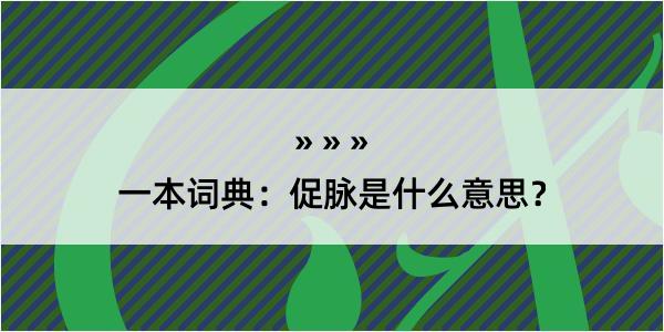 一本词典：促脉是什么意思？