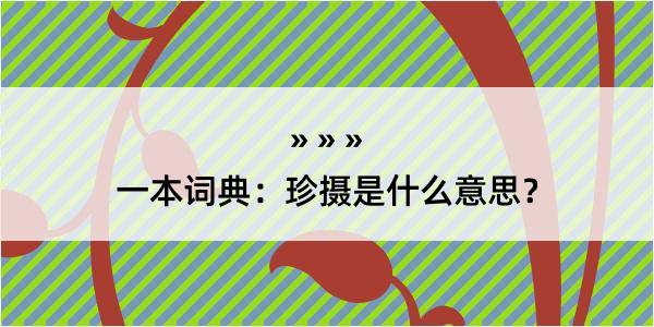 一本词典：珍摄是什么意思？