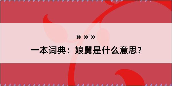 一本词典：娘舅是什么意思？