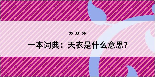 一本词典：天衣是什么意思？