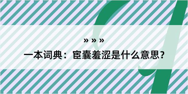 一本词典：宦囊羞涩是什么意思？