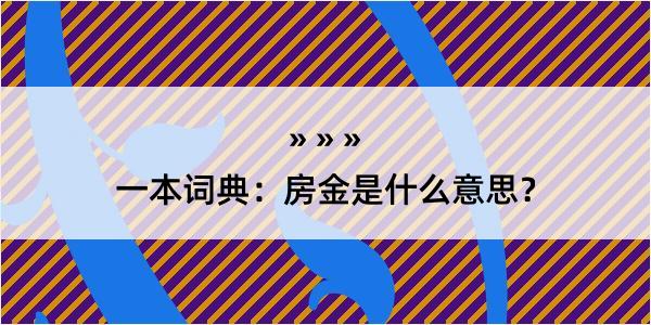 一本词典：房金是什么意思？